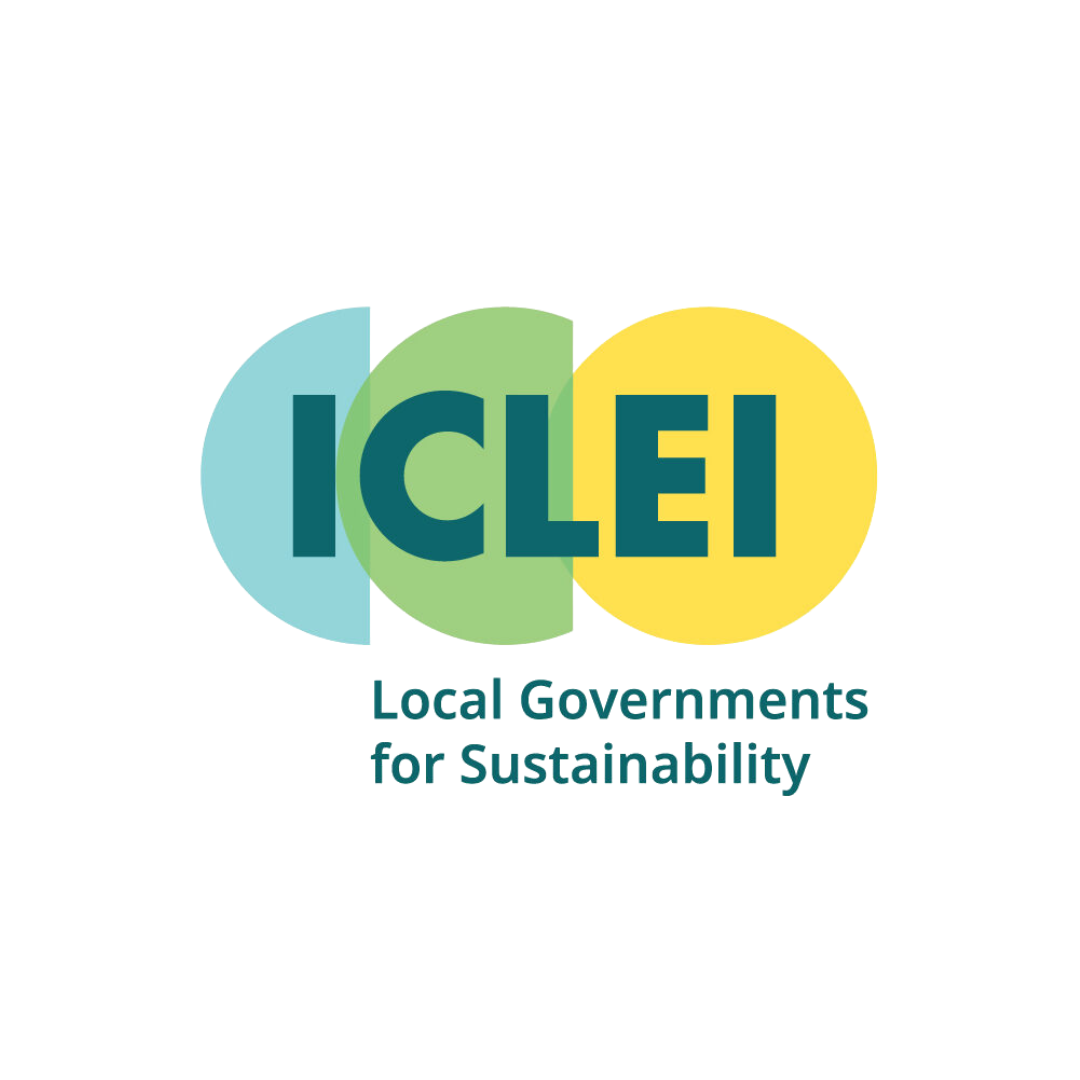 31.ICLEI.png